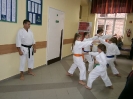 Pokaz karate - 16.09.2013_10