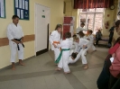 Pokaz karate - 16.09.2013_11