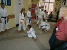 Pokaz karate - 16.09.2013_12