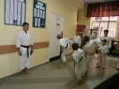 Pokaz karate - 16.09.2013_5